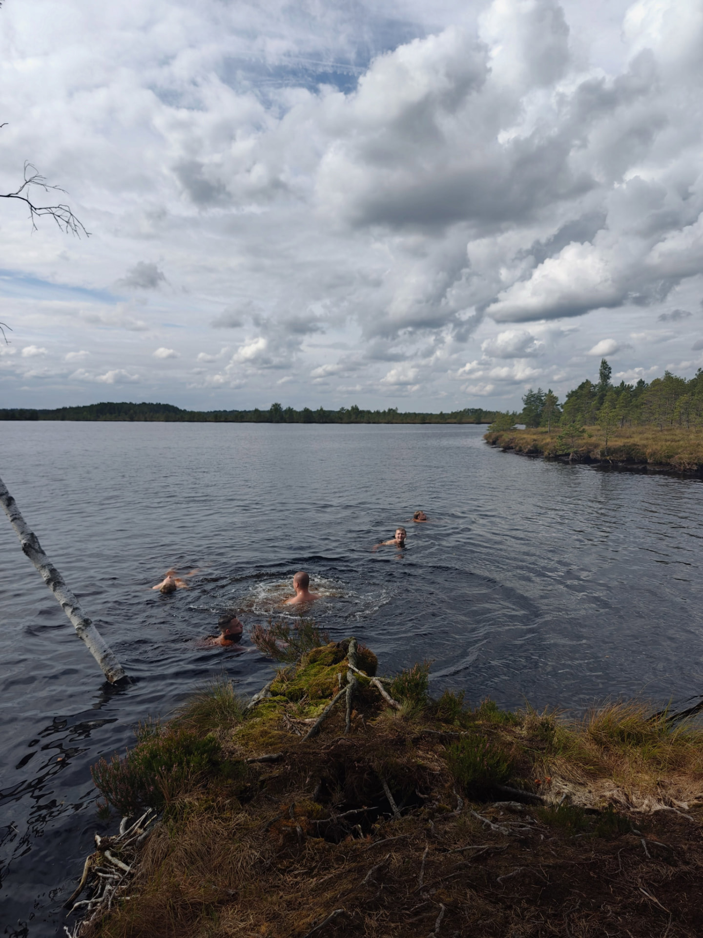 A summer expedition to a bog lake