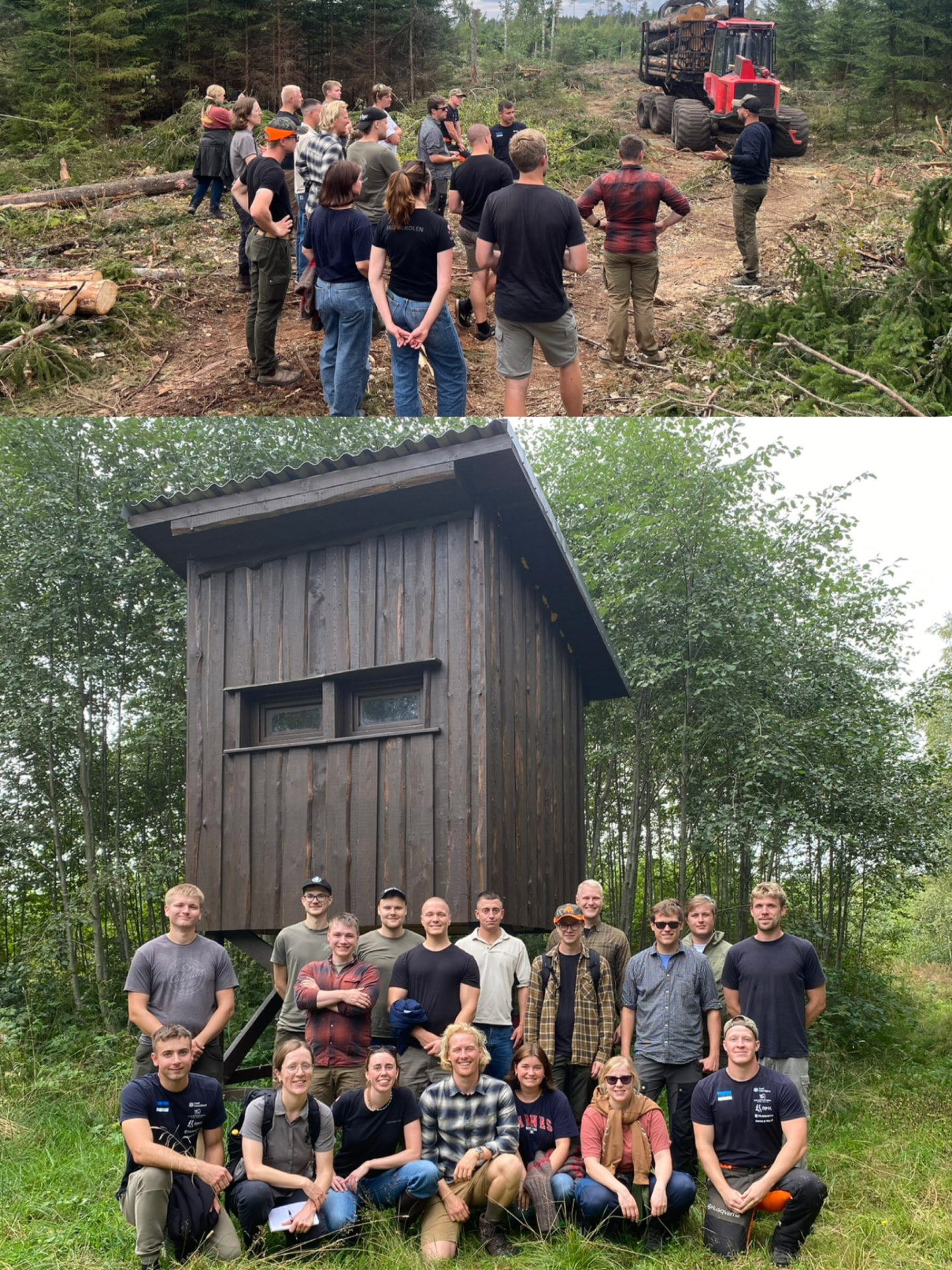 Field excursion to a working forest and harvesting site